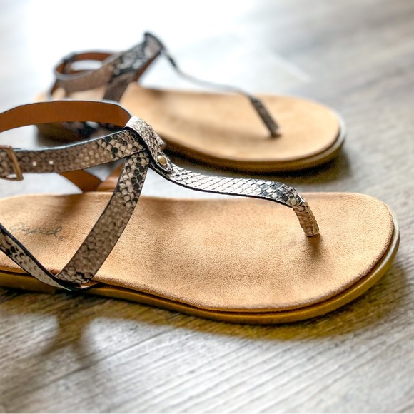 Qupid Snakeskin Gladiator Sandals ✨ Size 7.5 - Picture 2 of 5